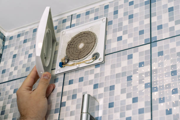 Best Air Vent Cleaning Services  in Lake Mary Jane, FL