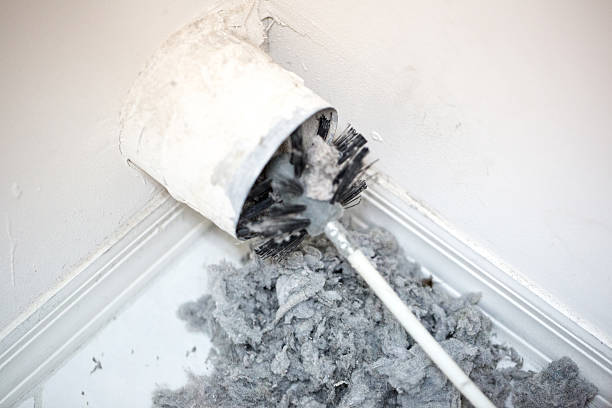 Best Home Air Vent Cleaning  in Lake Mary Jane, FL